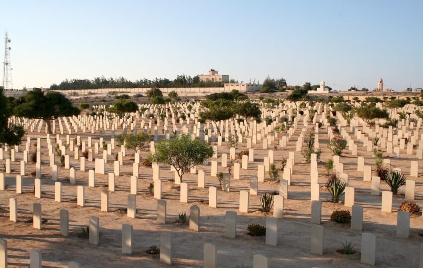Alexandria tour​ - El Alamein